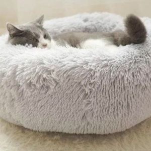 Meet your Posher, Lizzie